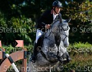 Milella Aham Shere GioCav2013 S5 1358 : Aham Shere, Campionati Italiani Giovani Cavalli, Cattolica, Milella Fabrizio, ph Stefano Secchi ©